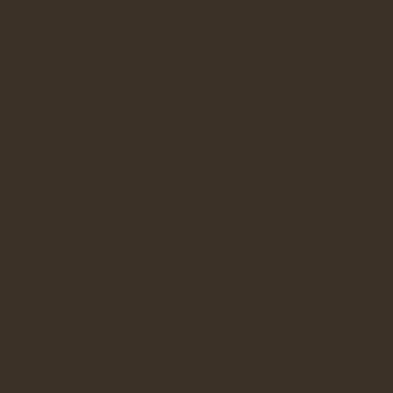 Quad-Core Brown Cover