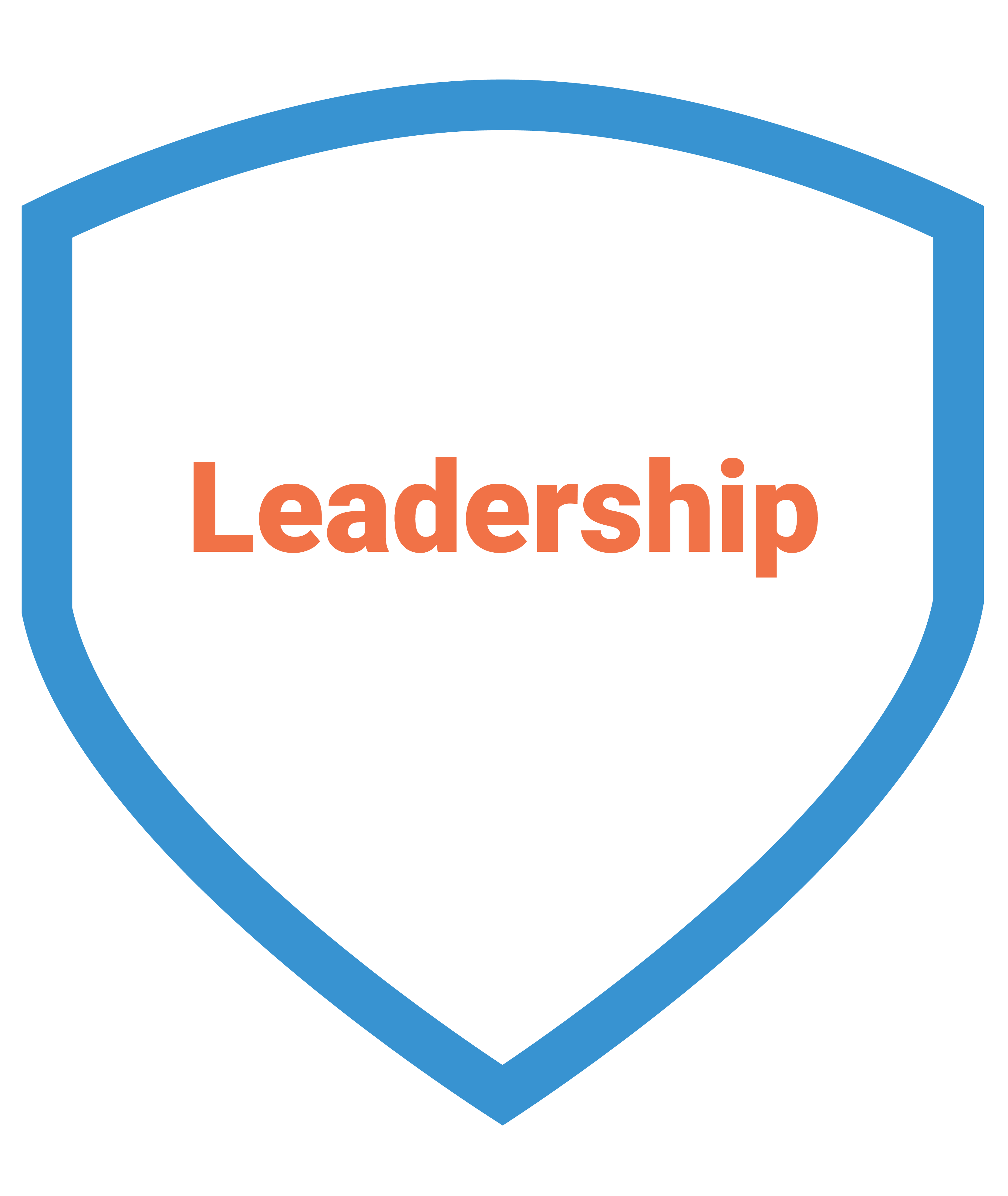 About the company - Our values - The word "Leadership" in orange text surrounded by a blue shield outline.