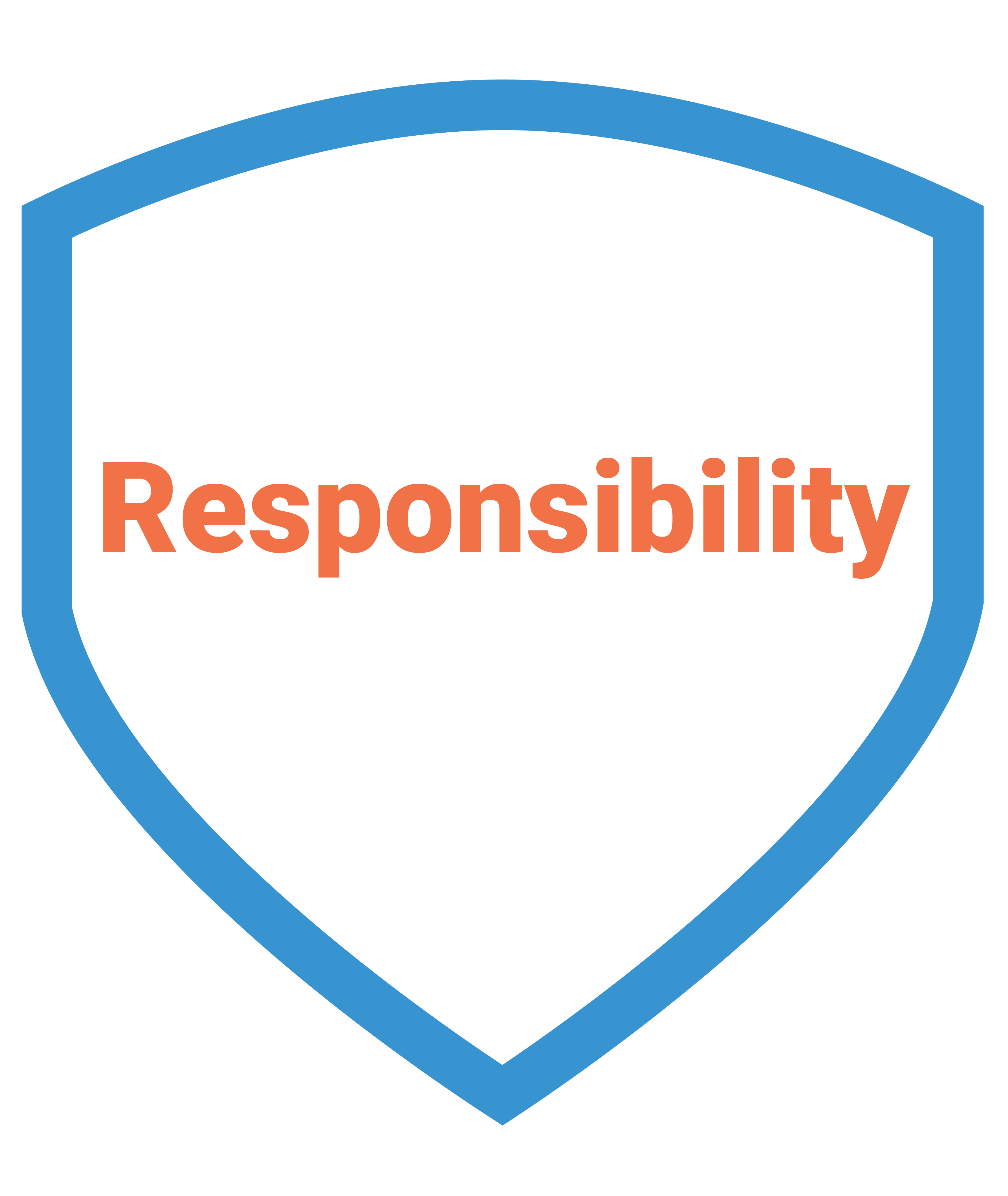 About the company - Our values - The word "Responsibility" in orange text surrounded by a blue shield outline.