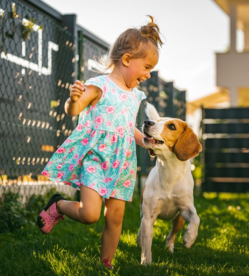 A young girl in a colorful dress joyfully runs on grass beside a playful brown and white dog, both looking happy, with a fence and house in the background on a sunny day.